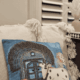 Sacred Cow Village Cushion Cover